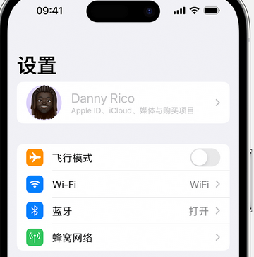 四更镇appleID维修服务iPhone设置中Apple ID显示为灰色无法使用