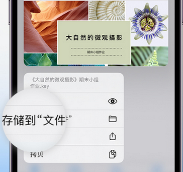 四更镇apple维修中心分享iPhone文件应用中存储和找到下载文件