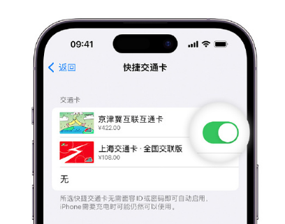 四更镇apple维修点分享iPhone上更换Apple Pay快捷交通卡手绘卡面 