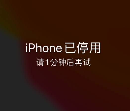 四更镇苹果手机维修分享:iPhone 显示“不可用”或“已停用”怎么办？还能保留数据吗？ 