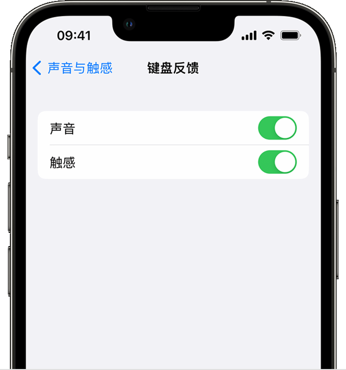 四更镇苹果14维修店分享如何在 iPhone 14 机型中使用触感键盘 