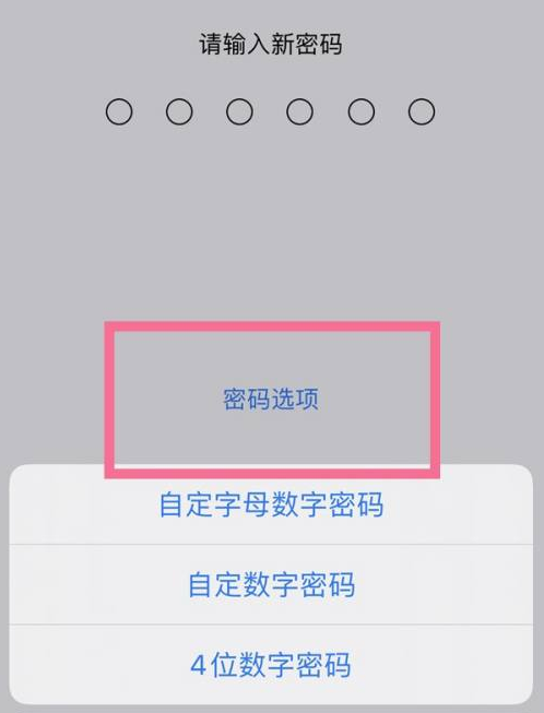 四更镇苹果14维修分享iPhone 14plus设置密码的方法 