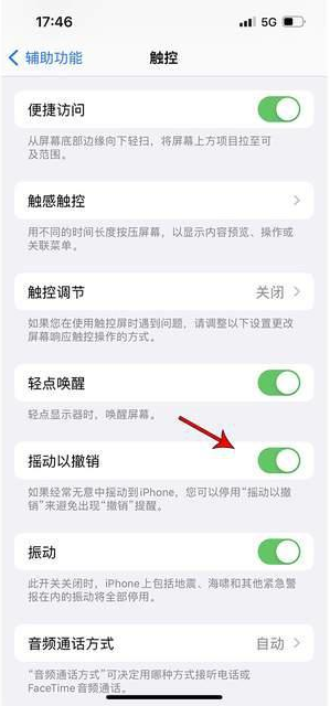 四更镇苹果手机维修分享iPhone手机如何设置摇一摇删除文字 