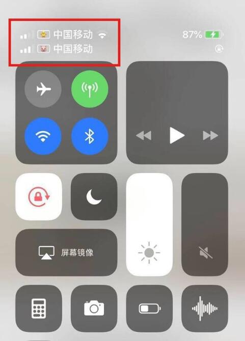 四更镇苹果手机维修分享为 iPhone 12 双卡设置标签 